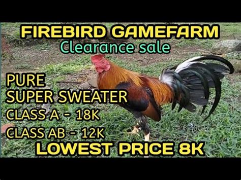 patrick antonio|patrick antonio gamefarm price list.